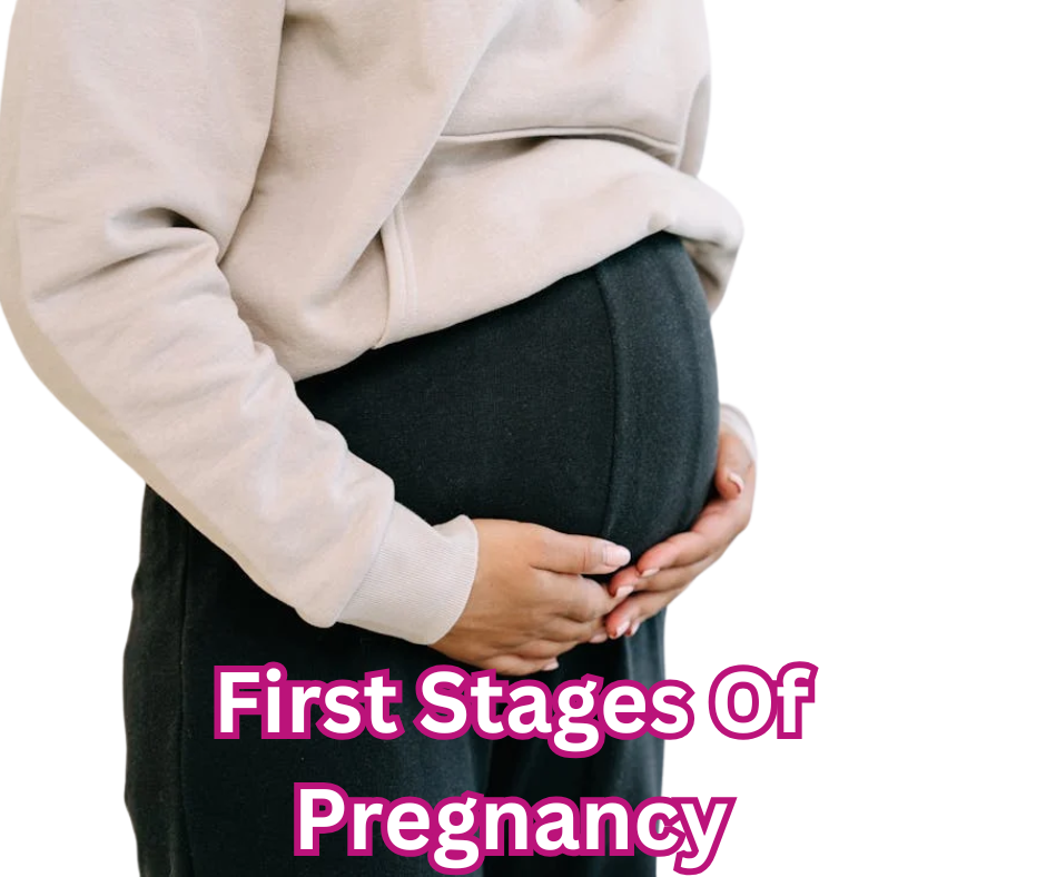 first stages of pregnancy