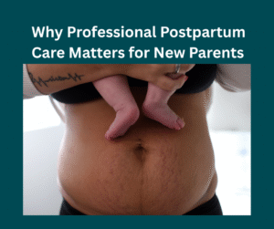 Professional Postpartum Care